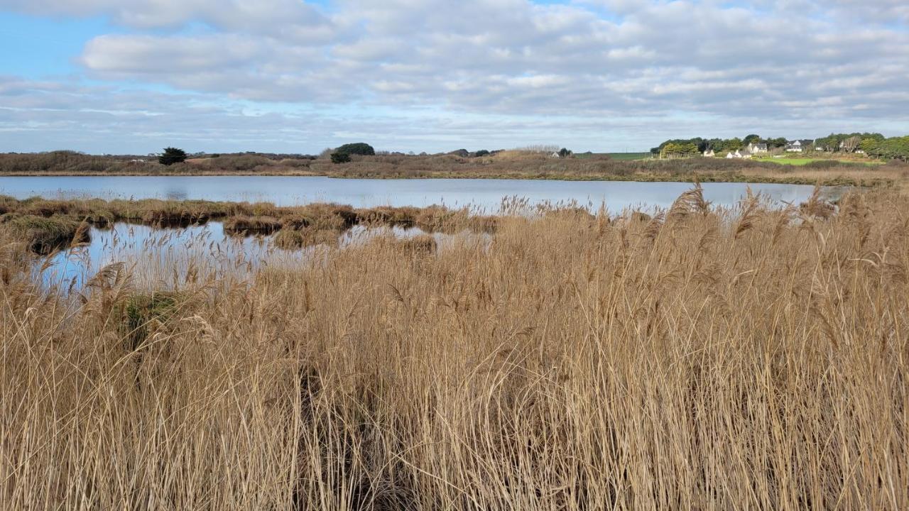 T3 “Hoedic“- 50 M De La Plage De Fort Bloque/Ploemeur Eksteriør bilde