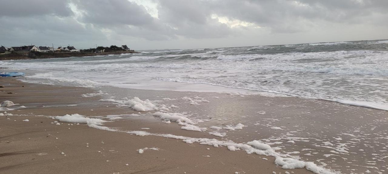 T3 “Hoedic“- 50 M De La Plage De Fort Bloque/Ploemeur Eksteriør bilde